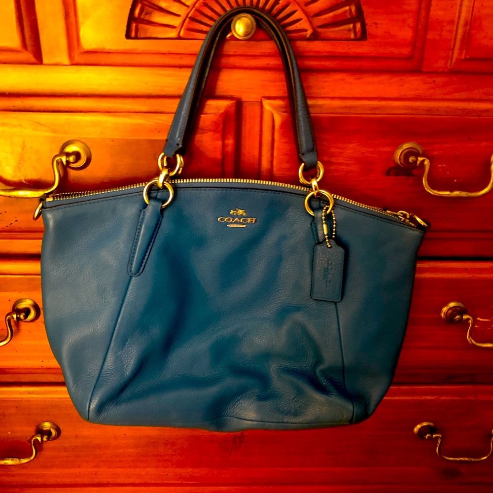 Small Coach purse (leather)